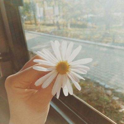 beplayapp下载登录·官方网站